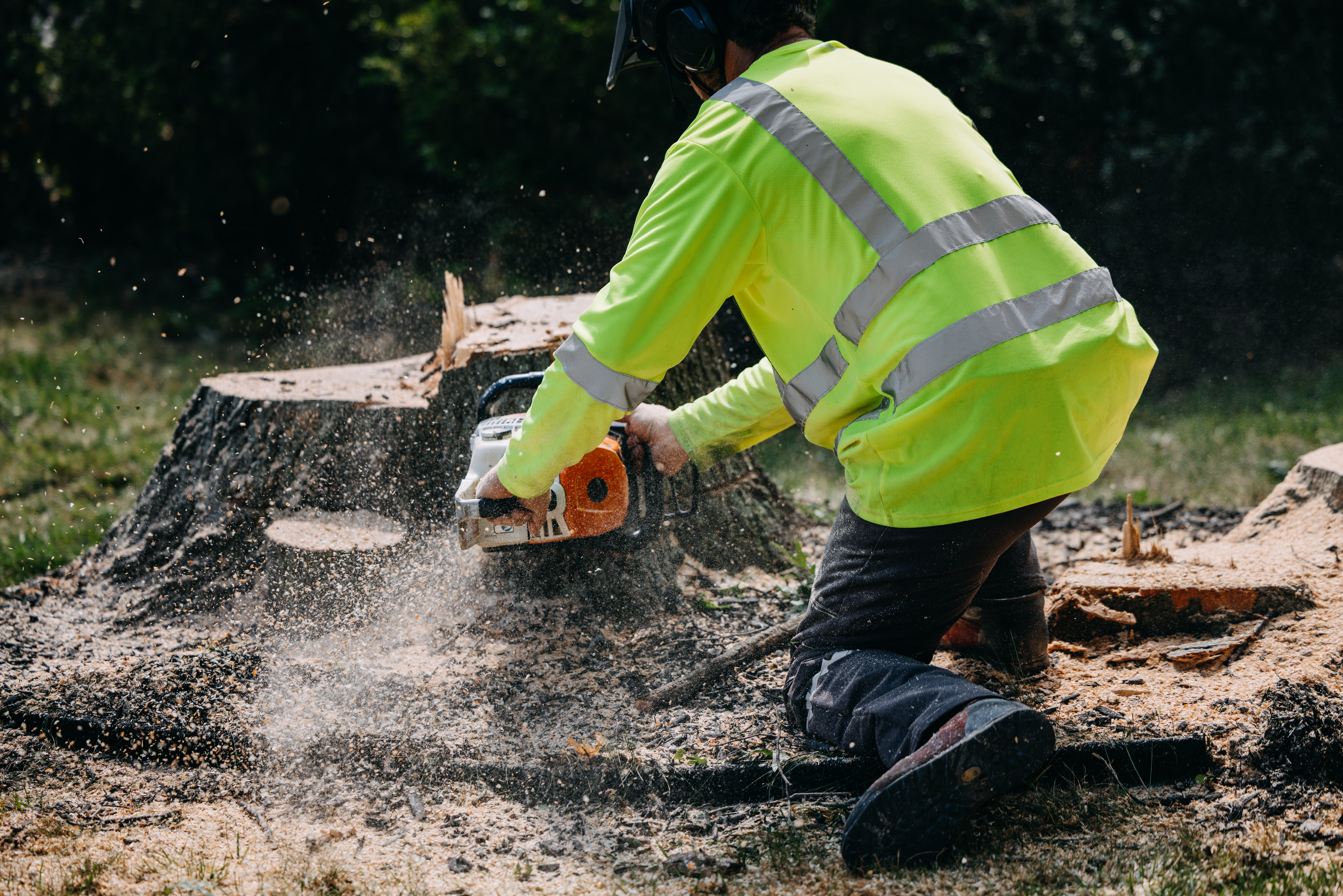 Utiliwear crew member cutting a tree stump with a chainsaw