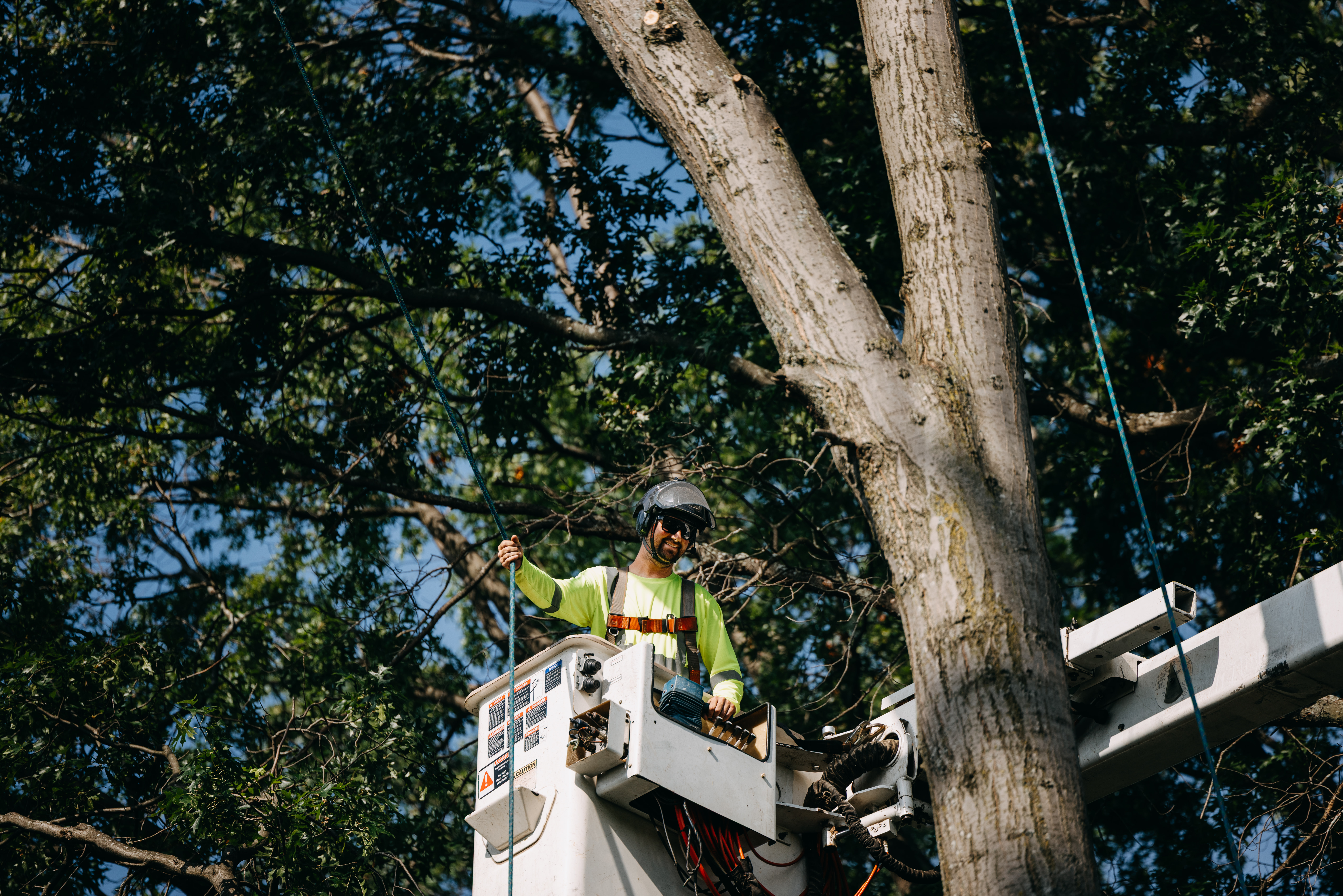 Utiliwear crew member stepping off a tree service bucket truck, ISA Certified Arborist decal visible